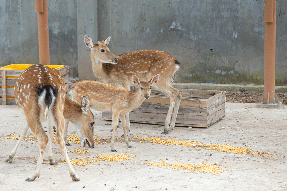 Sub 0