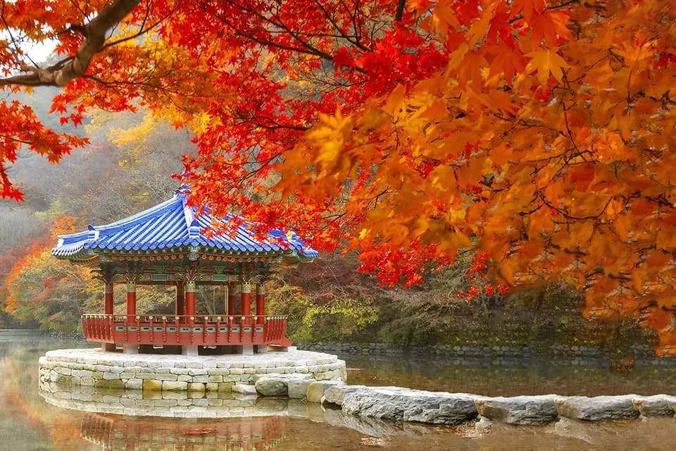 Du lịch Busan mùa thu nên đi tháng mấy? Gợi ý 6 điểm đến cực chill