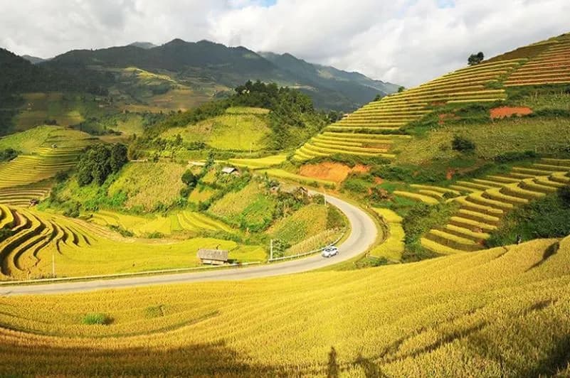 Du lịch Mộc Châu 2/9 nên đi đâu? Gợi ý 11 điểm đến, kinh nghiệm du lịch