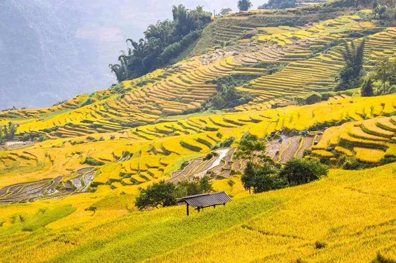 Lễ hội mùa thu Y Tý: Thời gian, địa điểm, hoạt động nổi bật