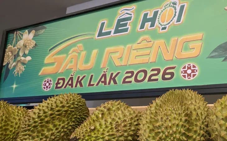 Lễ hội Sầu riêng: Thời gian diễn ra, địa điểm, hoạt động nổi bật